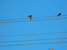 DSCN3772