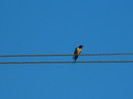 DSCN3776