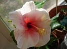 P1120781