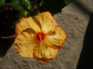 P1120802
