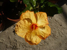 P1120804