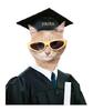 Pisi studenta