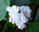 P1380601