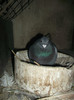 DSCF0893