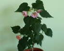 P1380625
