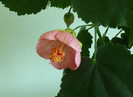 P1380629