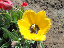 DSCN1989