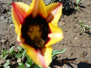 DSCN1991