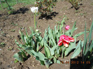 DSCN1995