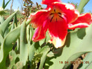 DSCN1996