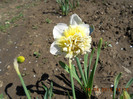DSCN1998