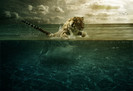 tiger_leap_in_the_water_by_pshoudini-d4rk2b7