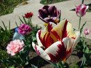 P1000474