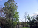 SDC14403