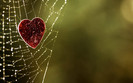 BestHDWallpapersPack511_72