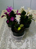 28 aprilie 2012-flori 022