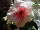 P1120855