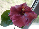 P1120879