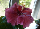 P1120883