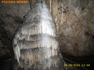 298. In Pestera Muierii (1)