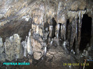 299. In Pestera Muierii (2)