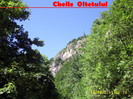 340. Cheile Oltetului (2)