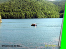 452. O barcuta pe Lacul Vidraru