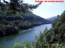 463. Aproape de coada lacului Vidraru