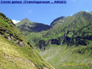 471. Pe Transfagarasan (creste golase) partea dinspre Arges