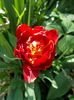DSCN0889_resize