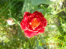 DSCN0700