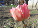 DSCN0702