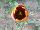 DSCN0703