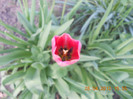 DSCN0705