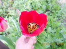 DSCN0706
