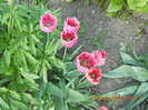DSCN0709