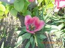 DSCN0711