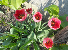 DSCN0712