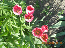 DSCN0714