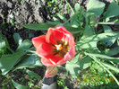 DSCN0717