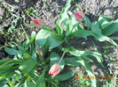 DSCN0718