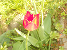 DSCN0730