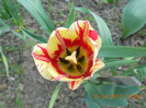 DSCN0732