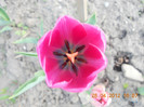 DSCN0735