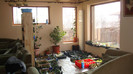 DSC03440