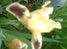 Imag014
