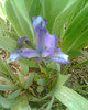 Imag016