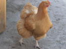 DSC01779