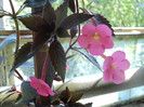 DSC02401