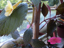 DSC02403